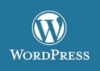 Wordpress Login Error